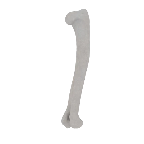 11-a2.287.png