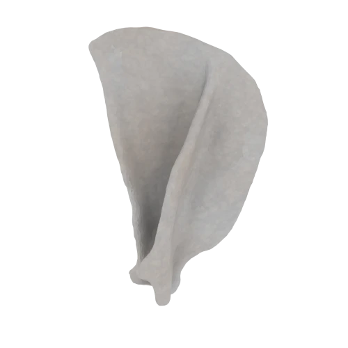 11-a2.324.png