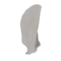 11-a2.327.png