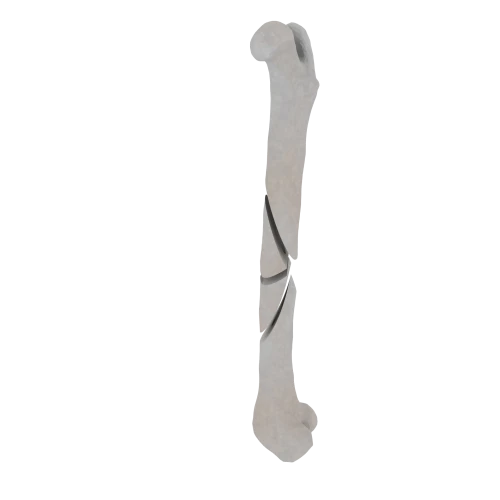 11-a2.496.png
