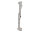 11-a2.497.png