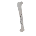 11-a2.499.png