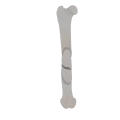 11-a2.503.png