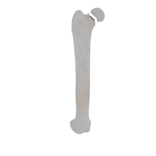 11-a2.467.png