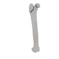 11-a2.469.png