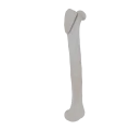 11-a2.447.png
