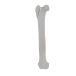 Femur - Feline - Fracture 31-A1 acc. to AOVet