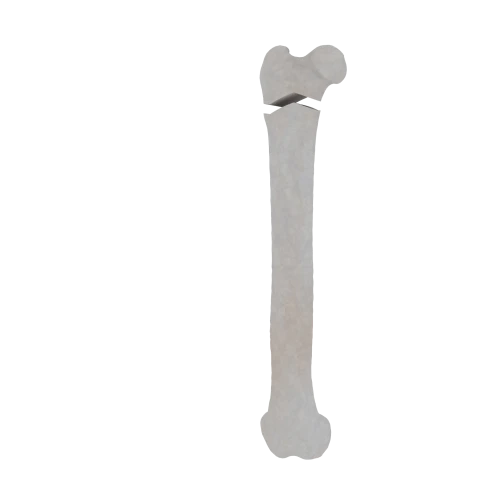 11-a2.449.png