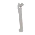 11-a2.450.png