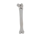 11-a2.452.png