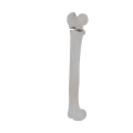 11-a2.454.png