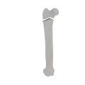 11-a2.455.png