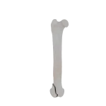 Femur - Feline - Fracture 33-B2 acc. to AOVet