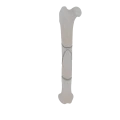 11-a2.504.png