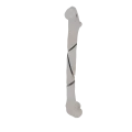 11-a2.509.png