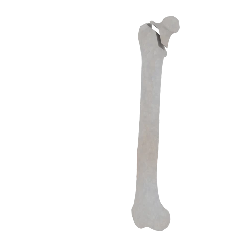 11-a2.456.png