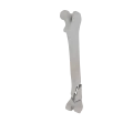 11-a2.530.png