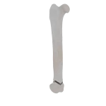 Femur - Feline - Fracture 33-A1 acc. to AOVet