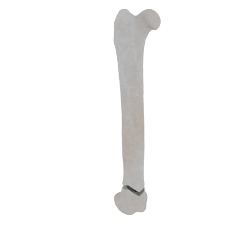 11-a2.520.png