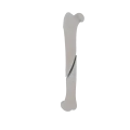 11-a2.474.png