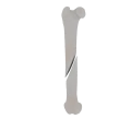 11-a2.475.png