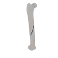 11-a2.476.png