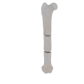 11-a2.512.png