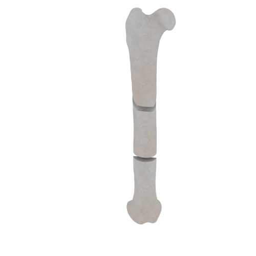 11-a2.512.png