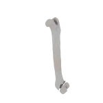 Femur - Feline - Fracture 33-B3 acc. to AOVet