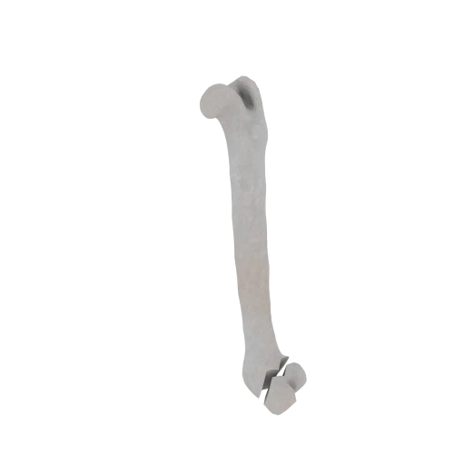 11-a2.551.png