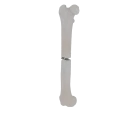 11-a2.481.png