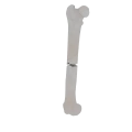 11-a2.487.png
