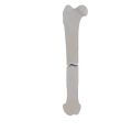 11-a2.488.png