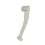 Humerus - Feline - Fracture 11-A3 acc. to AOVet
