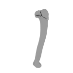 Humerus - Feline - Fracture 11-C2 acc. to AOVet