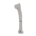 11-a2.258.png