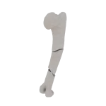 Humerus - Feline - Fracture 12-C2 acc. to AOVet 