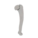Humerus - Feline - Fracture 11-C1 acc. to AOVet
