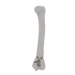 Humerus - Feline - Fracture 13-A2 acc. to AOVet