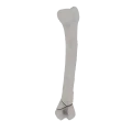 11-a2.272.png