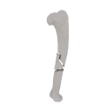 11-a2.261.png