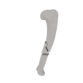 11-a2.263.png