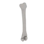 Humerus - Feline - Fracture 13-A1 acc. to AOVet