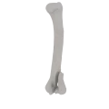 11-a2.279.png