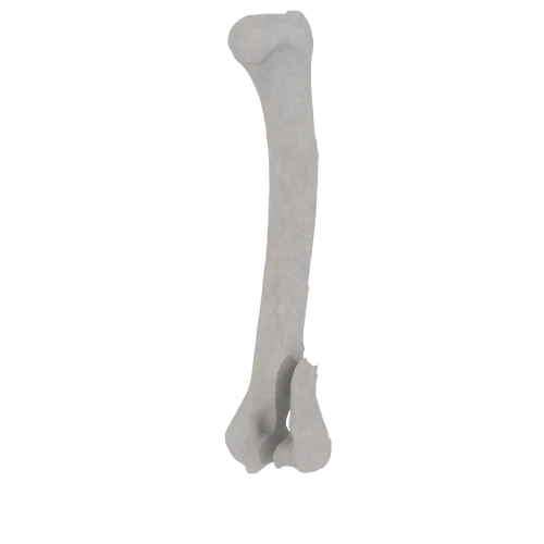 11-a2.279.png