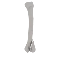 11-a2.278.png