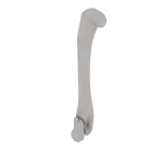 Humerus - Feline - Fracture 13-B1 acc. to AOVet
