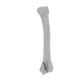 11-a2.274.png