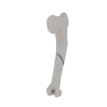 11-a2.257.png