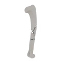 11-a2.264.png